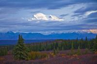 Mt. McKinley 6145 m / 20401 feet